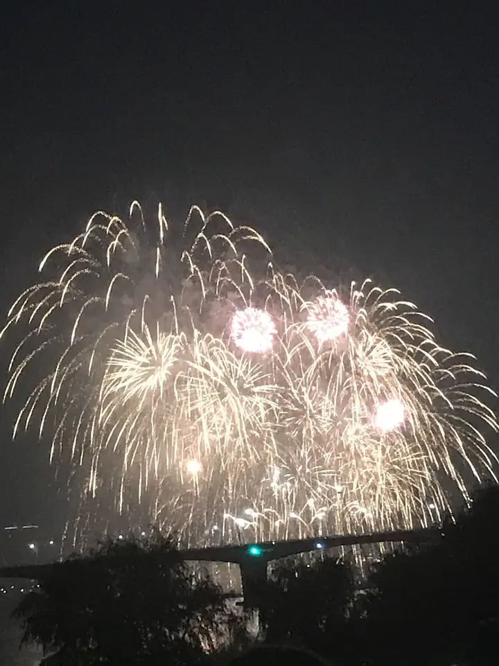2017년 여의도 수변에서 동쪽으로 본 불꽃 — 수목 사이로 교량과 불꽃이 겹친다